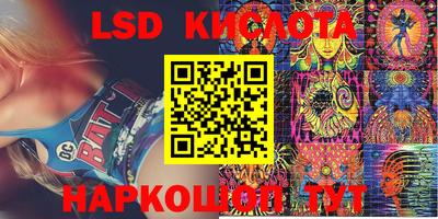 крисы Будённовск