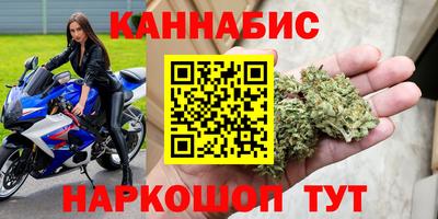 крисы Будённовск
