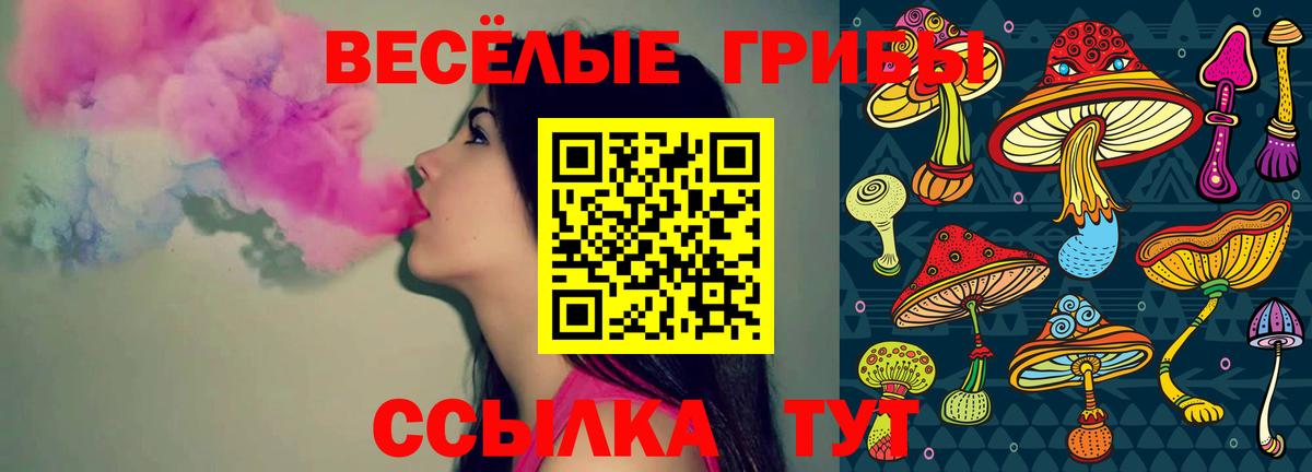 Галлюциногенные грибы мухоморы  как найти закладки  Галлюциногенные грибы Psilocybe  Невинномысск  Вход с VPN 